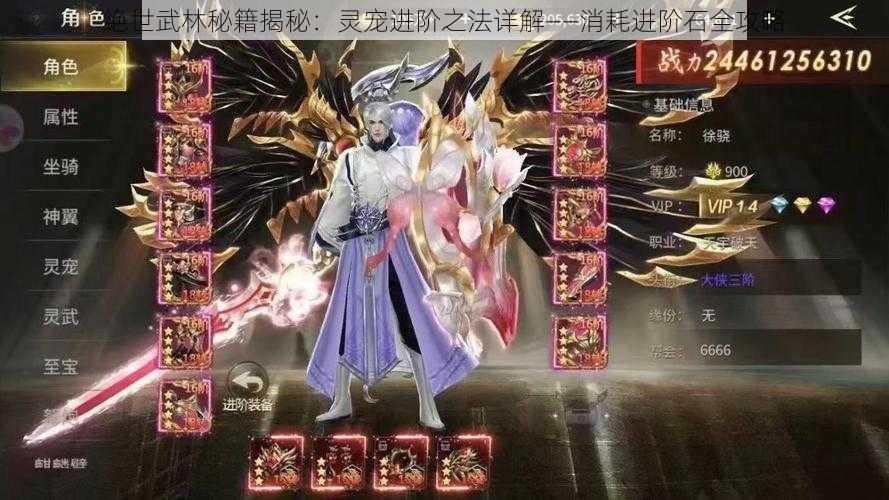 绝世武林秘籍揭秘:灵宠进阶之法详解——消耗进阶石全攻略