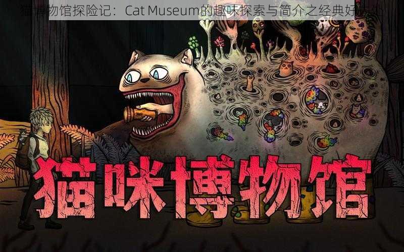 猫博物馆探险记:Cat Museum的趣味探索与简介之经典好去处