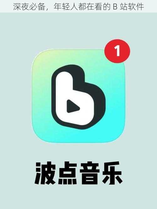 深夜必备,年轻人都在看的 B 站软件