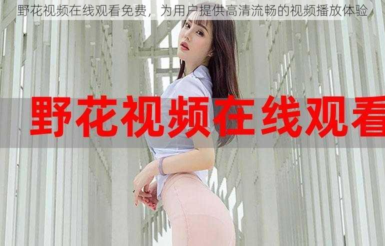 野花视频在线观看免费,为用户提供高清流畅的视频播放体验
