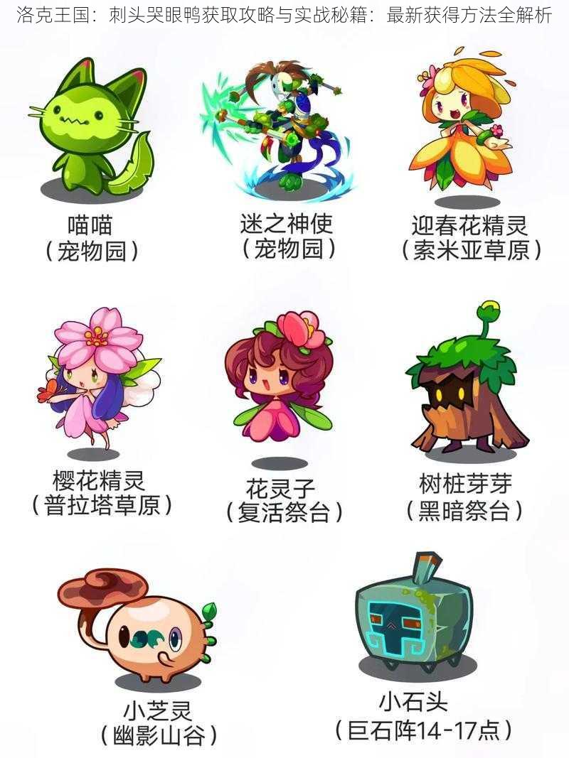 洛克王国:刺头哭眼鸭获取攻略与实战秘籍:最新获得方法全解析