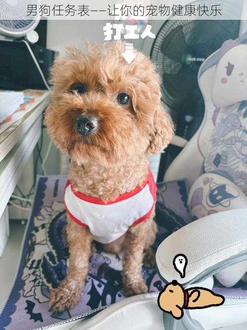男狗任务表——让你的宠物健康快乐
