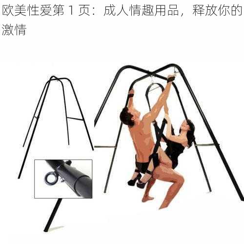欧美性爱第 1 页:成人情趣用品,释放你的激情