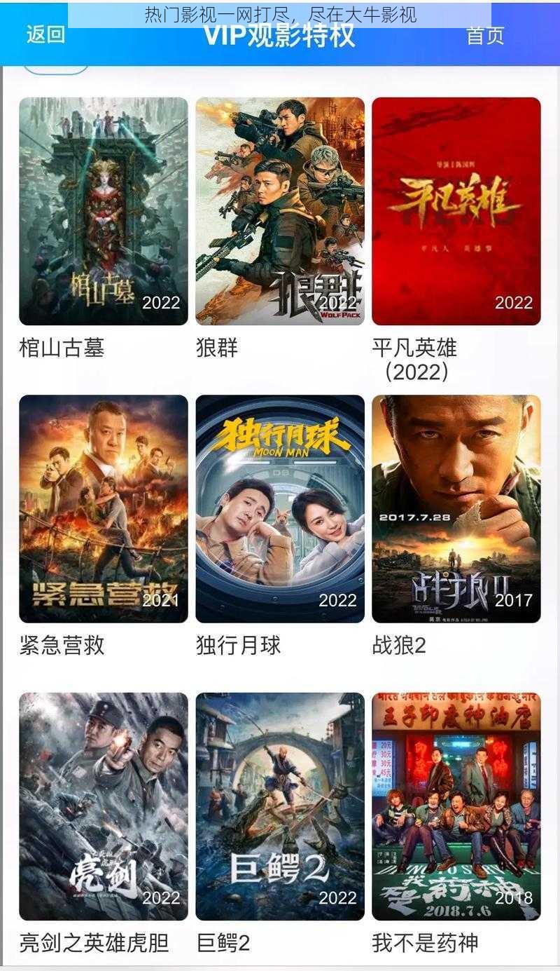 热门影视一网打尽,尽在大牛影视