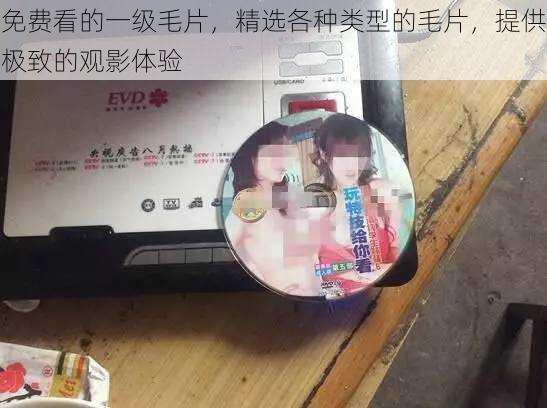 免费看的一级毛片,精选各种类型的毛片,提供极致的观影体验