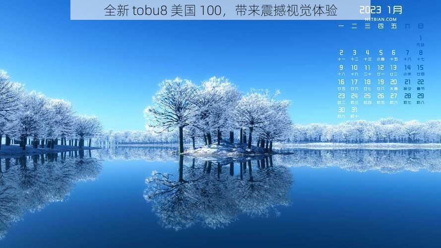 全新 tobu8 美国 100,带来震撼视觉体验