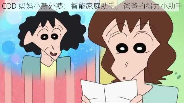 COD 妈妈小新外婆:智能家庭助手,爸爸的得力小助手