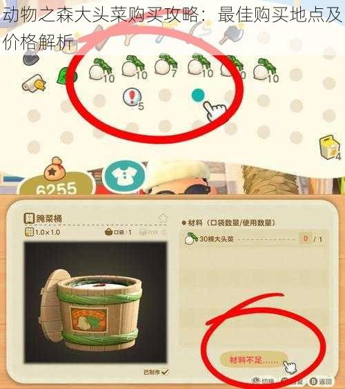 动物之森大头菜购买攻略:最佳购买地点及价格解析