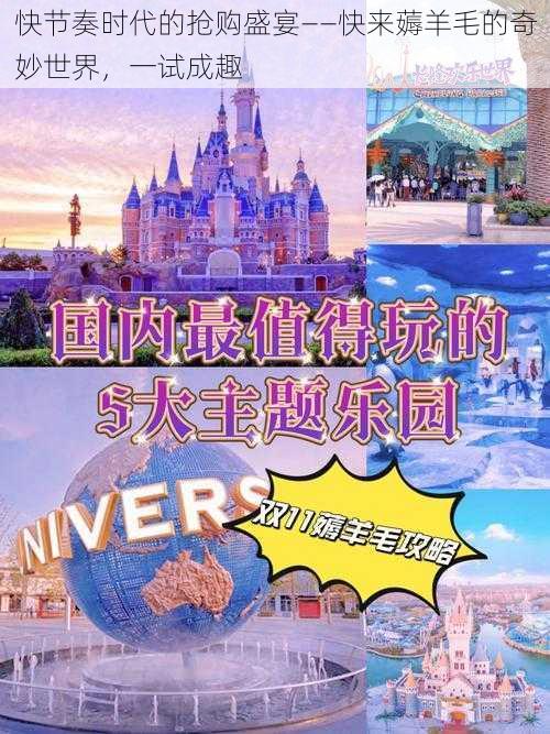 快节奏时代的抢购盛宴——快来薅羊毛的奇妙世界,一试成趣