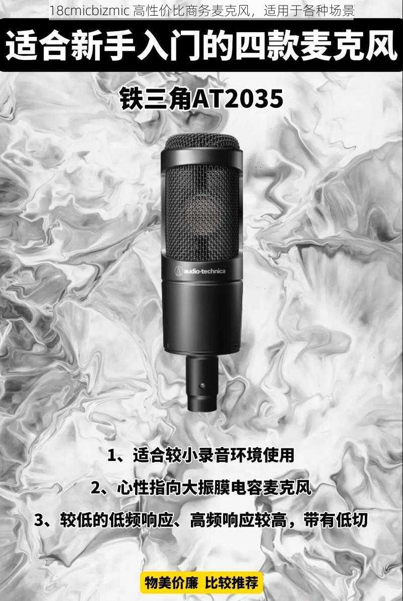 18cmicbizmic 高性价比商务麦克风,适用于各种场景