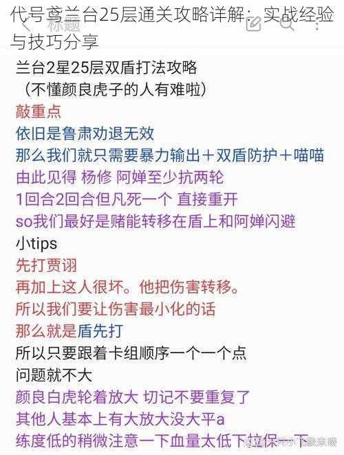 代号鸢兰台25层通关攻略详解:实战经验与技巧分享