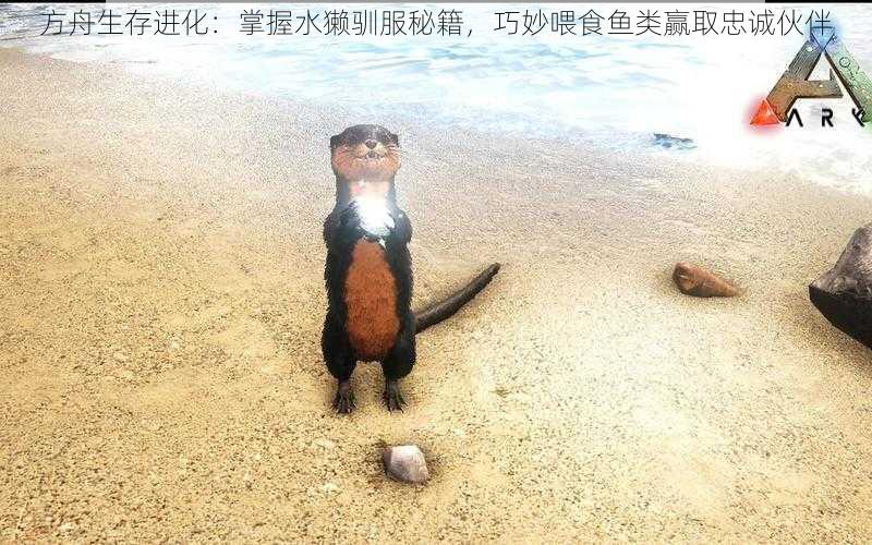 方舟生存进化:掌握水獭驯服秘籍,巧妙喂食鱼类赢取忠诚伙伴