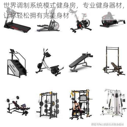 世界调制系统模式健身房,专业健身器材,让你轻松拥有完美身材