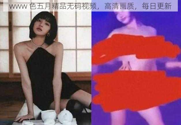 www 色五月精品无码视频,高清画质,每日更新