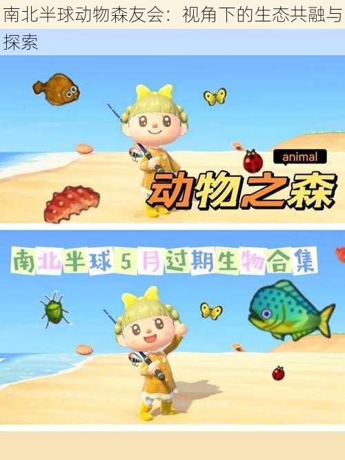 南北半球动物森友会:视角下的生态共融与探索