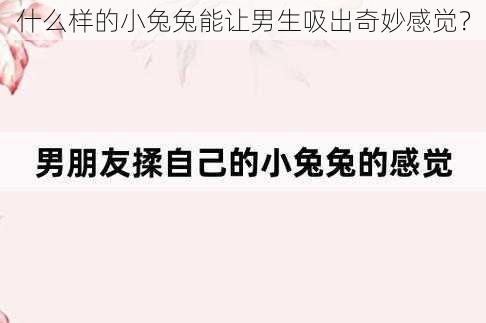 什么样的小兔兔能让男生吸出奇妙感觉?