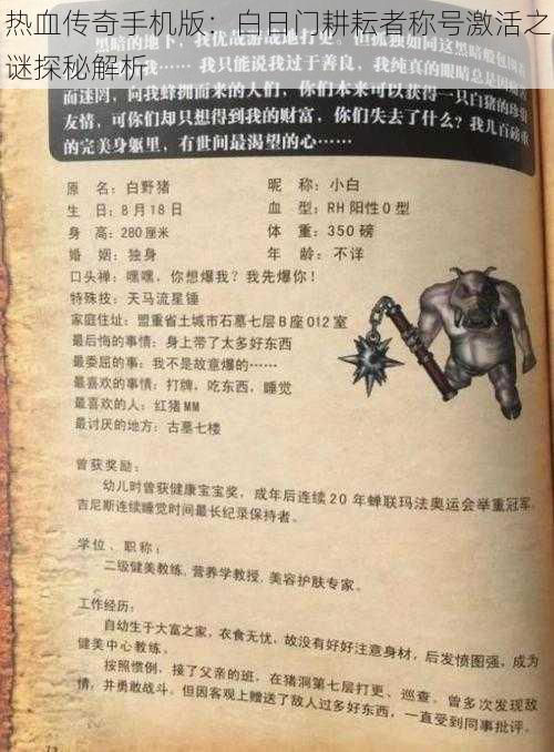 热血传奇手机版:白日门耕耘者称号激活之谜探秘解析