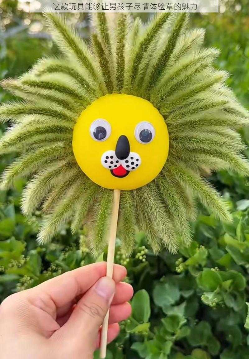 这款玩具能够让男孩子尽情体验草的魅力