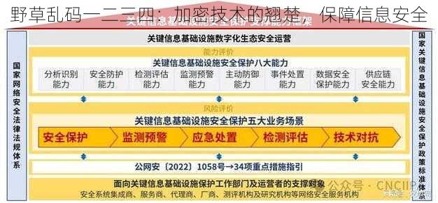 野草乱码一二三四:加密技术的翘楚,保障信息安全