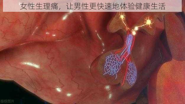 女性生理痛,让男性更快速地体验健康生活
