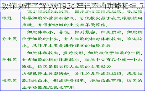 教你快速了解 yw193c 牢记不的功能和特点