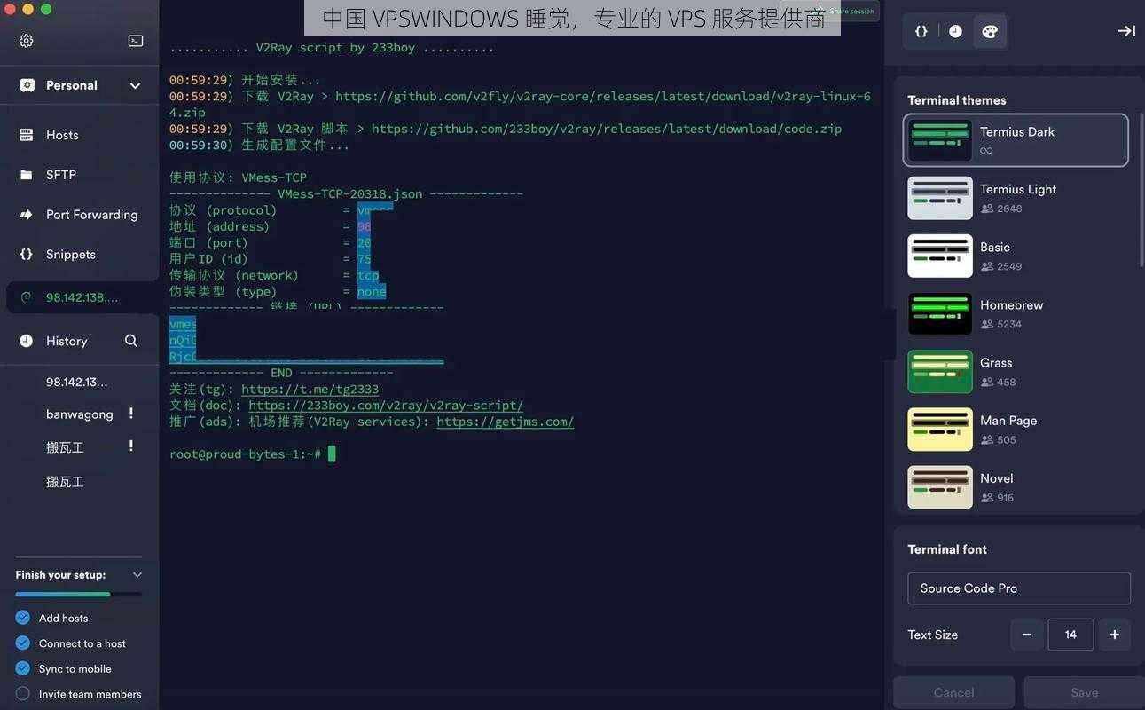 中国 VPSWINDOWS 睡觉,专业的 VPS 服务提供商
