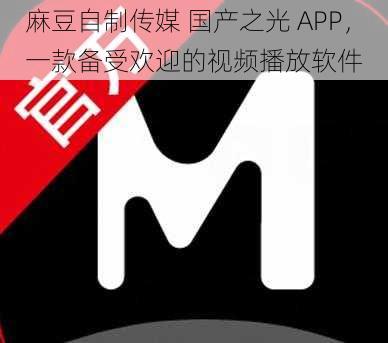 麻豆自制传媒 国产之光 APP,一款备受欢迎的视频播放软件