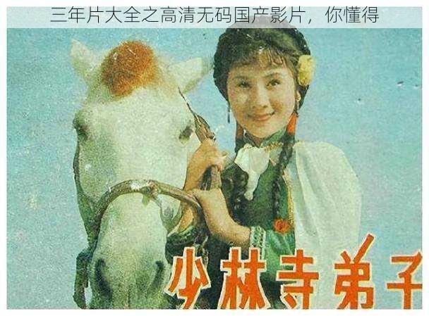 三年片大全之高清无码国产影片,你懂得