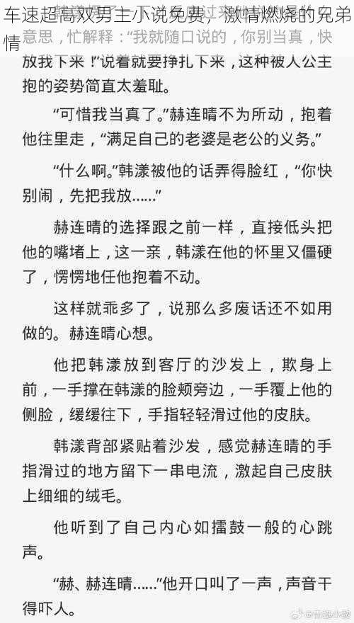 车速超高双男主小说免费,激情燃烧的兄弟情