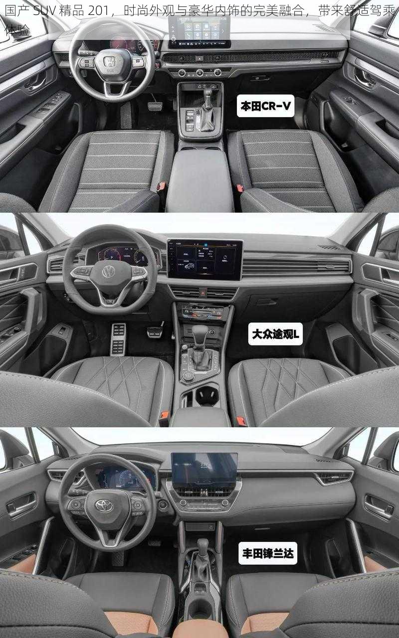 国产 SUV 精品 201,时尚外观与豪华内饰的完美融合,带来舒适驾乘体验