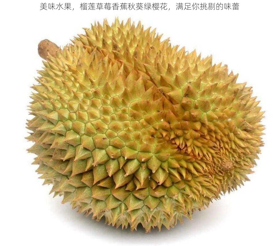 美味水果,榴莲草莓香蕉秋葵绿樱花,满足你挑剔的味蕾