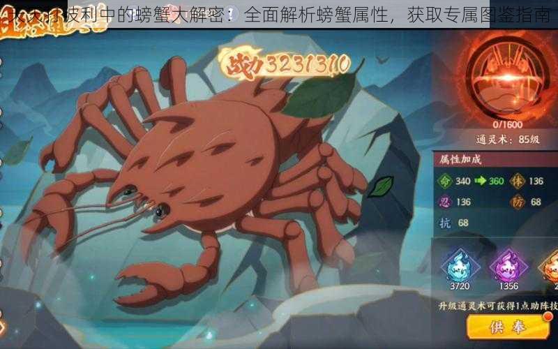天天打波利中的螃蟹大解密:全面解析螃蟹属性,获取专属图鉴指南