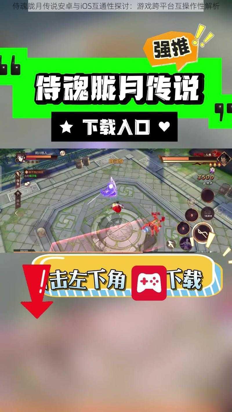 侍魂胧月传说安卓与iOS互通性探讨:游戏跨平台互操作性解析