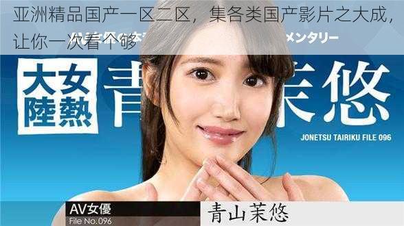 亚洲精品国产一区二区,集各类国产影片之大成,让你一次看个够