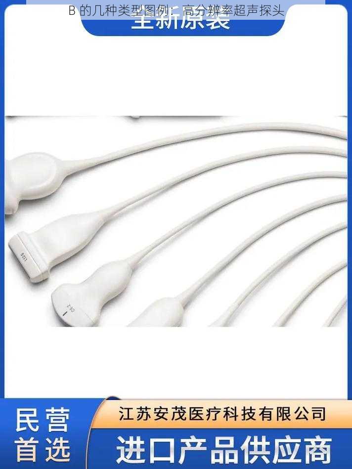 B 的几种类型图例:高分辨率超声探头