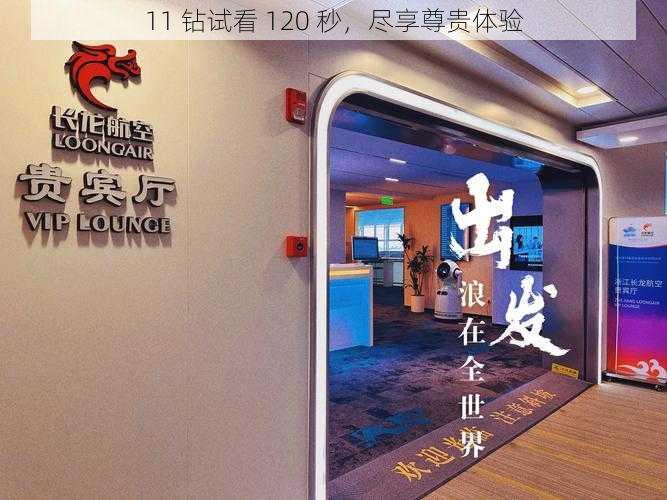 11 钻试看 120 秒,尽享尊贵体验