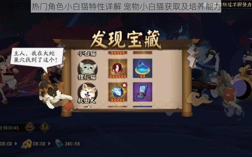 阴阳师热门角色小白猫特性详解 宠物小白猫获取及培养能力全攻略
