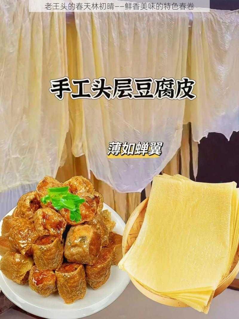 老王头的春天林初晴——鲜香美味的特色春卷