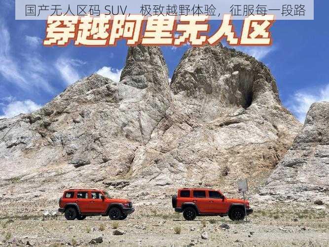 国产无人区码 SUV,极致越野体验,征服每一段路