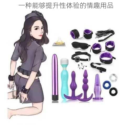一种能够提升性体验的情趣用品
