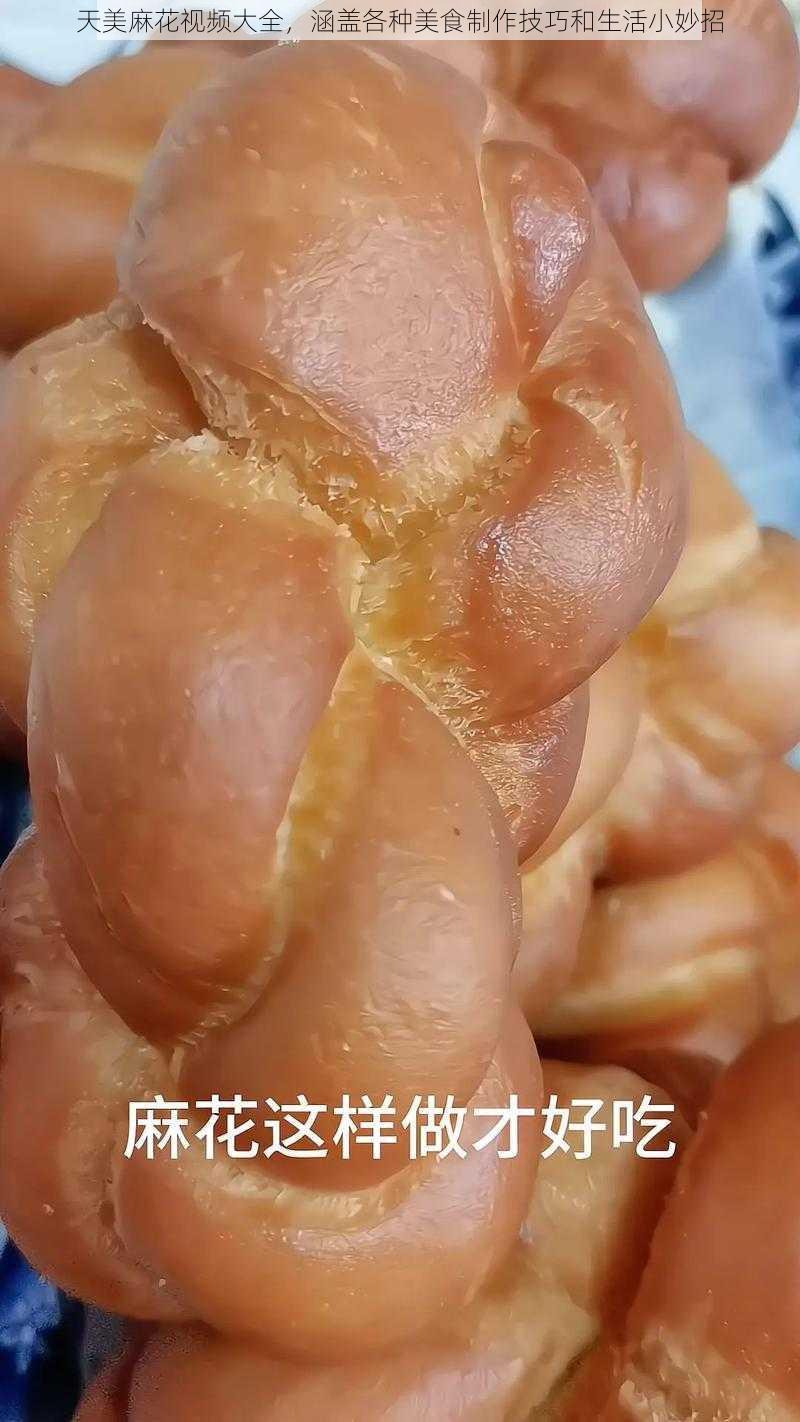 天美麻花视频大全,涵盖各种美食制作技巧和生活小妙招