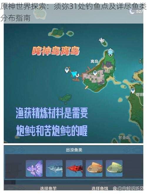 原神世界探索:须弥31处钓鱼点及详尽鱼类分布指南