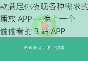 一款满足你夜晚各种需求的视频播放 APP——晚上一个人偷偷看的 B 站 APP