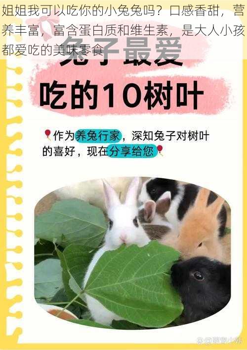 姐姐我可以吃你的小兔兔吗?口感香甜,营养丰富,富含蛋白质和维生素,是大人小孩都爱吃的美味零食