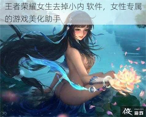 王者荣耀女生去掉小内 软件,女性专属的游戏美化助手
