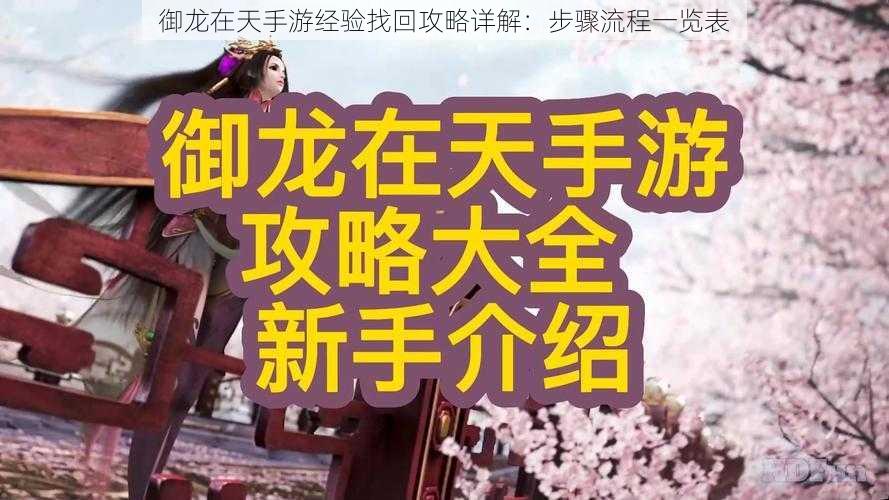 御龙在天手游经验找回攻略详解:步骤流程一览表