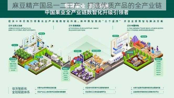 麻豆精产国品一二三产:打造优质产品的全产业链