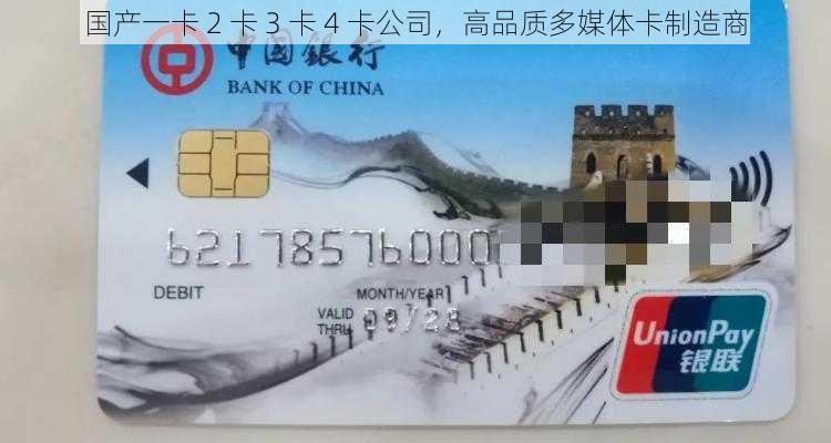 国产一卡 2 卡 3 卡 4 卡公司,高品质多媒体卡制造商