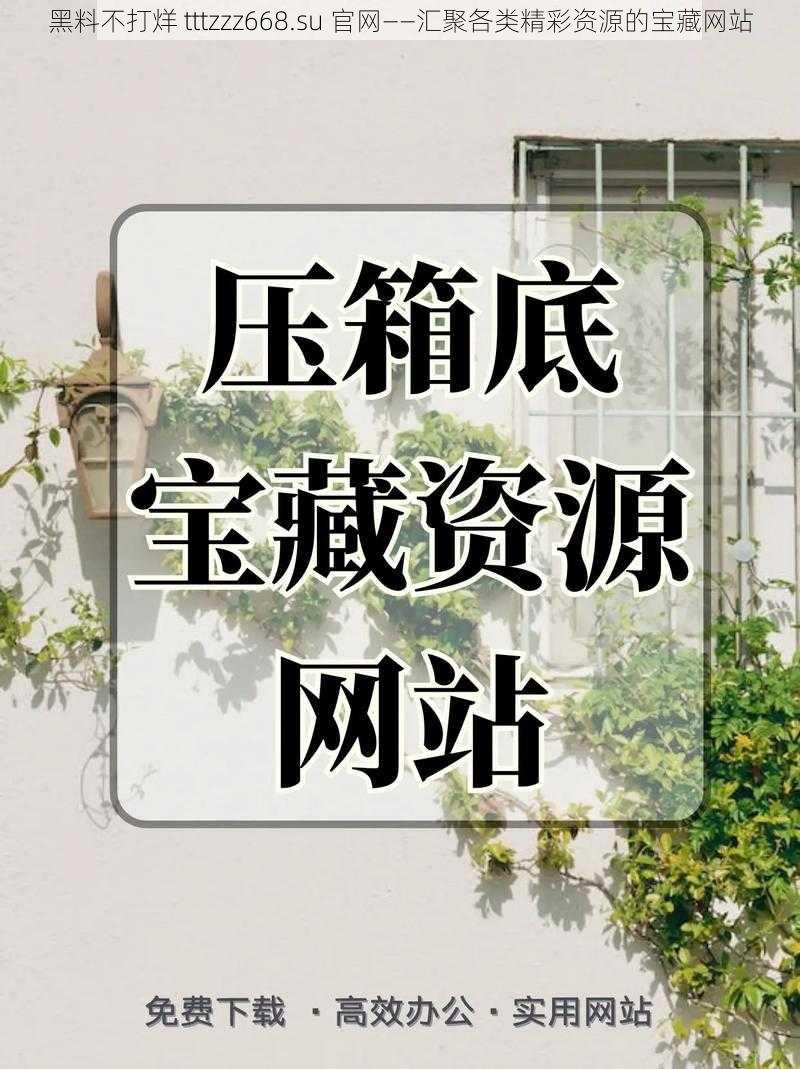 黑料不打烊 tttzzz668.su 官网——汇聚各类精彩资源的宝藏网站