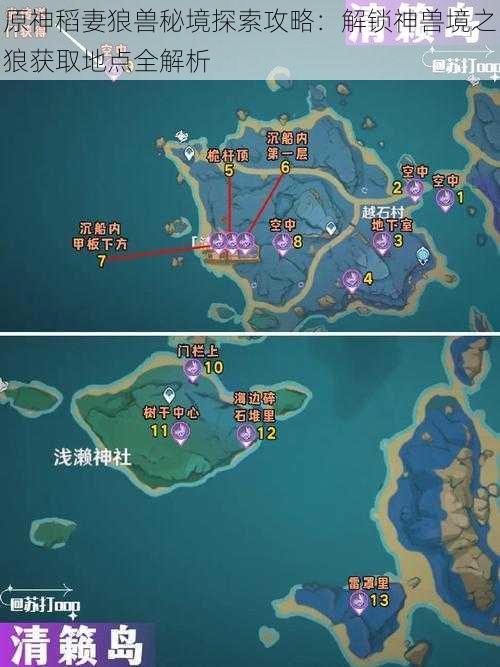 原神稻妻狼兽秘境探索攻略:解锁神兽境之狼获取地点全解析